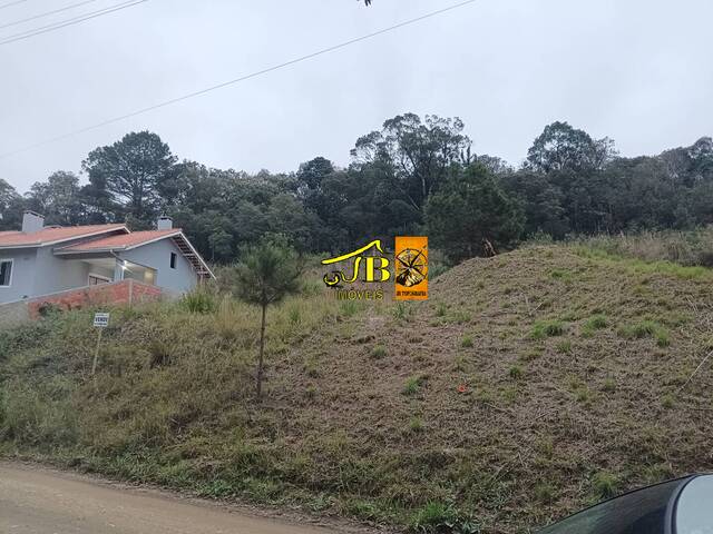 Venda em Alpino - São Bento do Sul